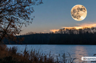 полная луна