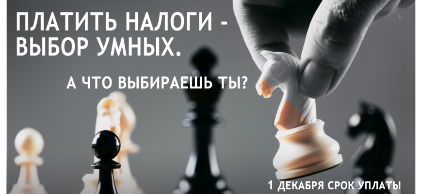 налоги