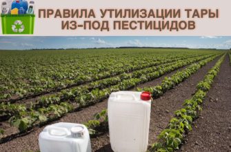 правила утилизации