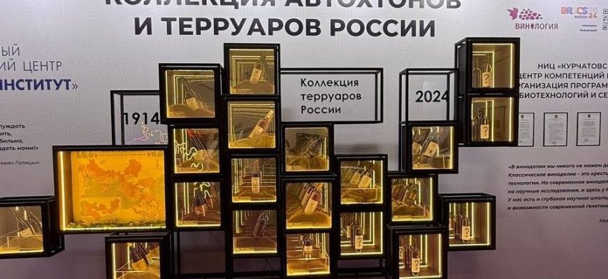 коллекция