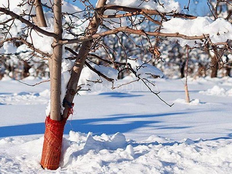 И в декабре работы в саду не закончились