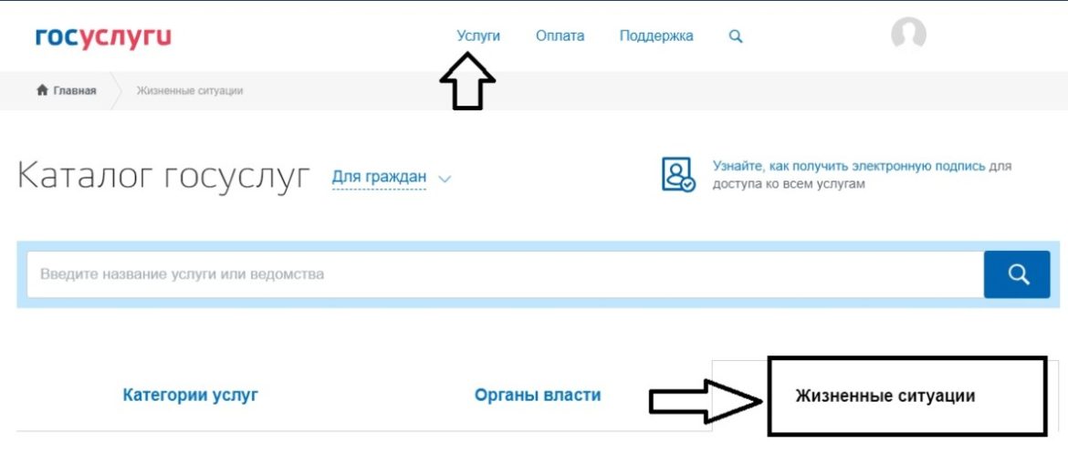 На Госуслугах запущен сервис «Жизненная ситуация»