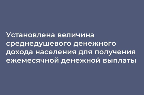 Установлена величина среднедушевого денежного дохода для получения ежемесячной денежной выплаты на третьего ребёнка