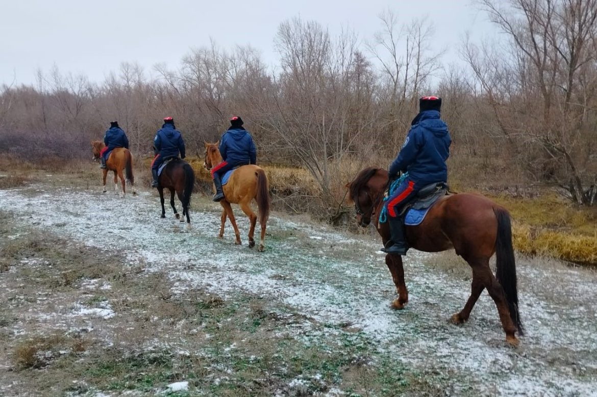 В донских лесах усилили охрану хвойных насаждений