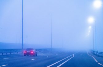 туман на дороге