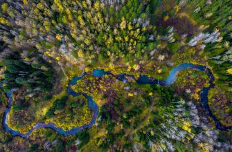 фото с квадрокоптера