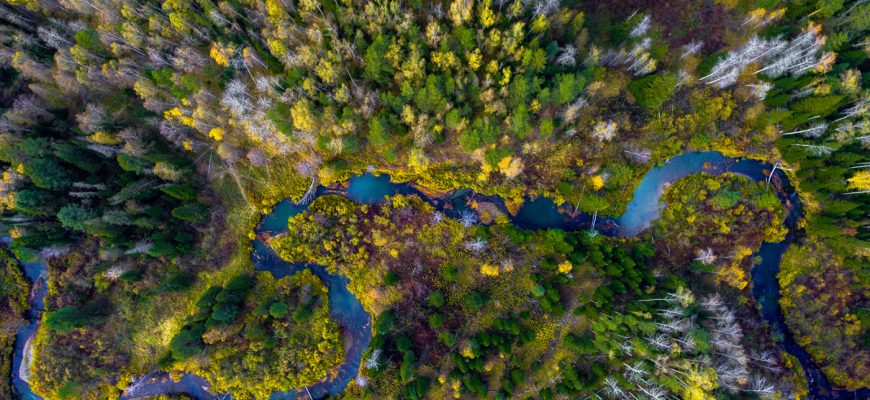 фото с квадрокоптера