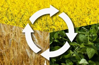 севооборот