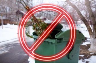 не выбрасываем ель