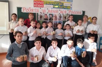 мичуринская сош