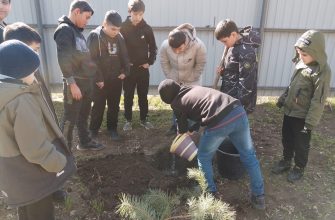 мичуринская сош