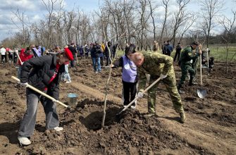древонасаждения