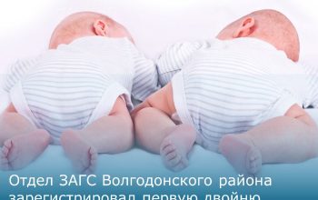 двойняшки