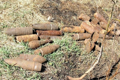 С начала года на территории Ростовской области обнаружено 64 взрывоопасных предмета