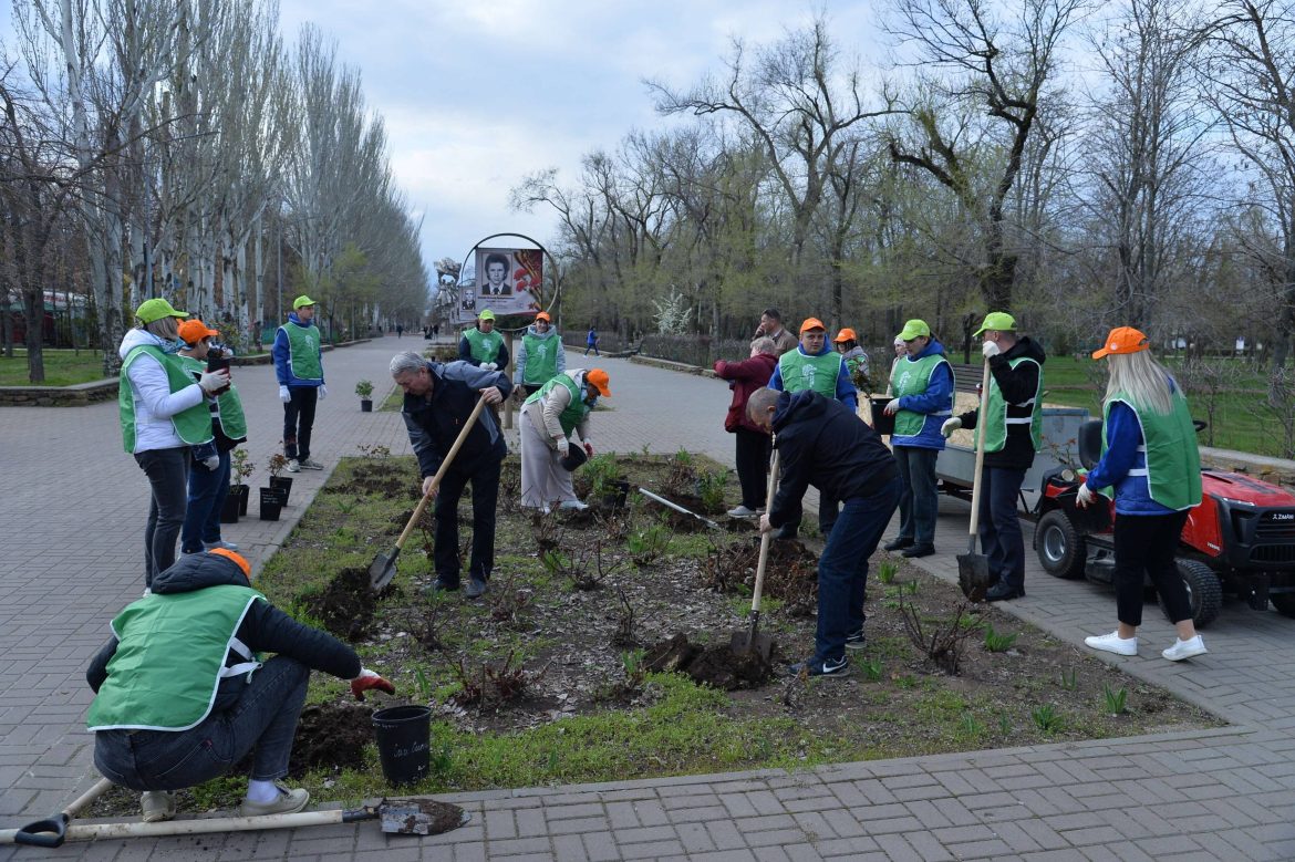 Ростовская АЭС: 80 кустов роз высадили атомщики в городском парке к 80-летию Великой Победы