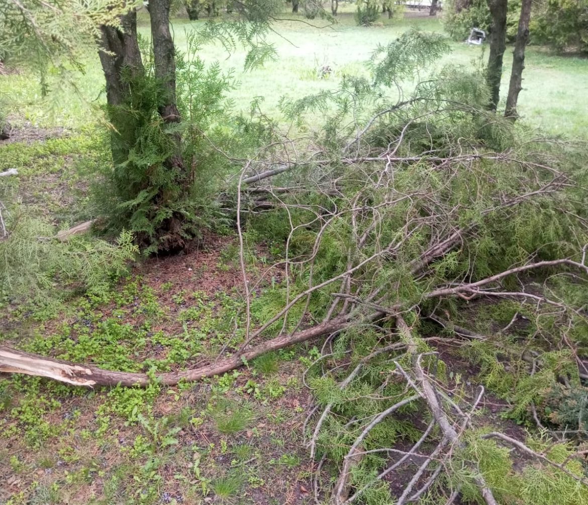 Вандализм в парке «Русь»