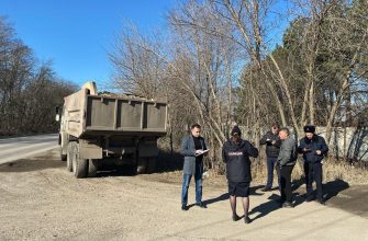 серые мусорщики