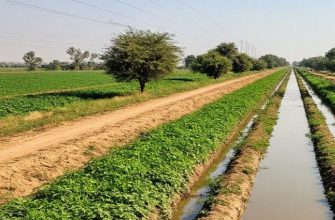 оросительный