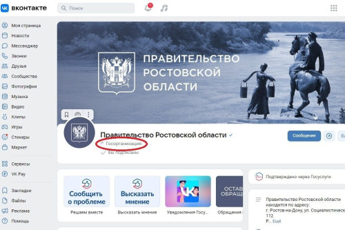 В Ростовской области ведется 5300 госпабликов