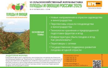 выставка