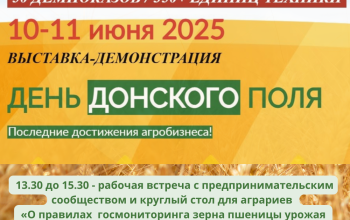 день поля