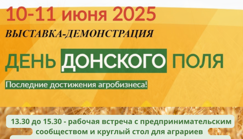 день поля