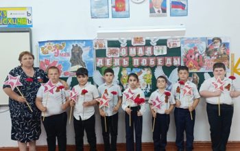Мичуринская сош