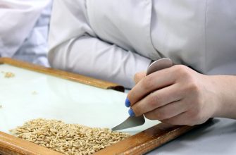 анализ зерна