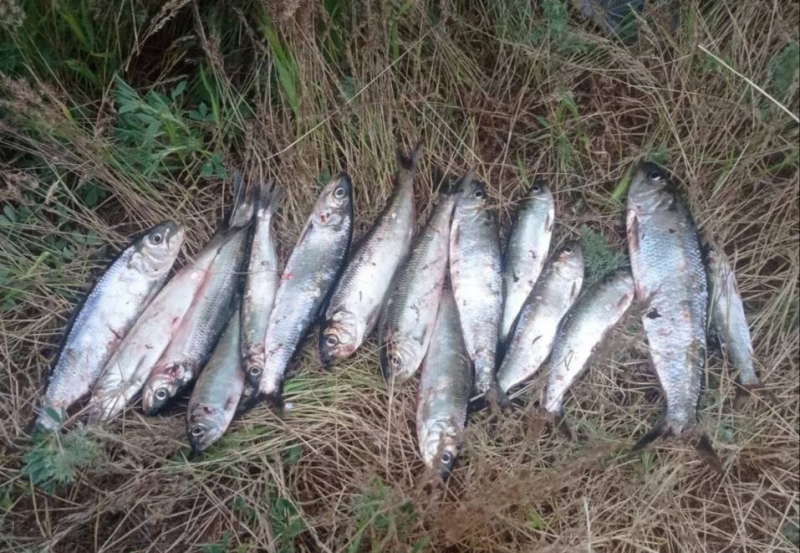 В Волгодонском районе полицейскими пресечена незаконная добыча водных биологических ресурсов