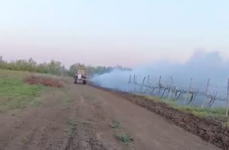 виноградники