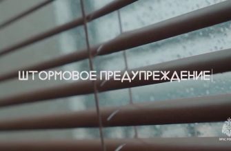 штортмовое