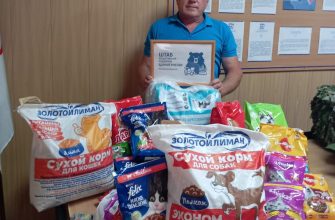 единороссы