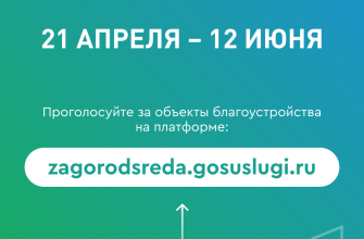 голосование