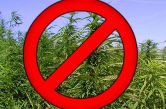 борьба сконоплей