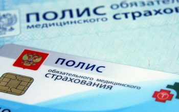 полис