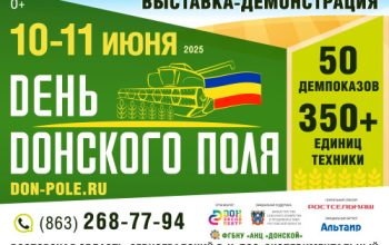 день поля