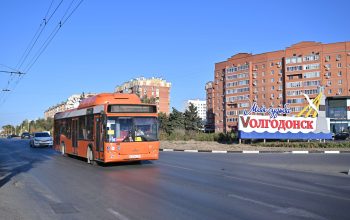 роаэс