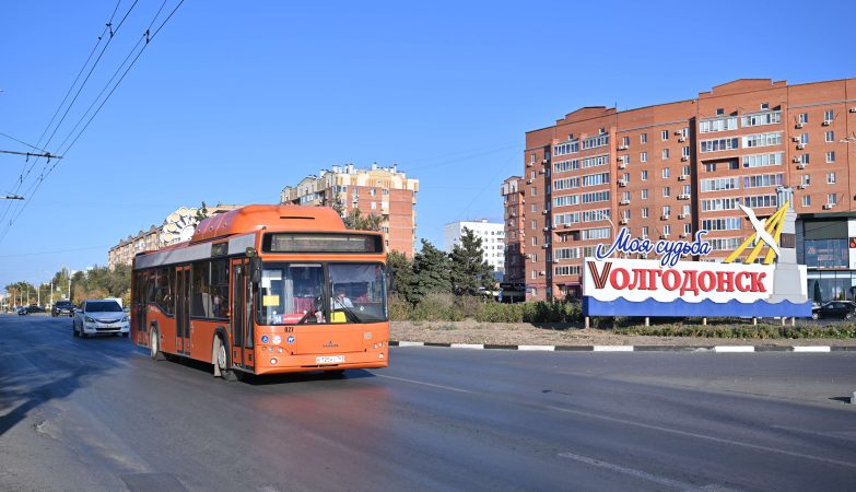 роаэс