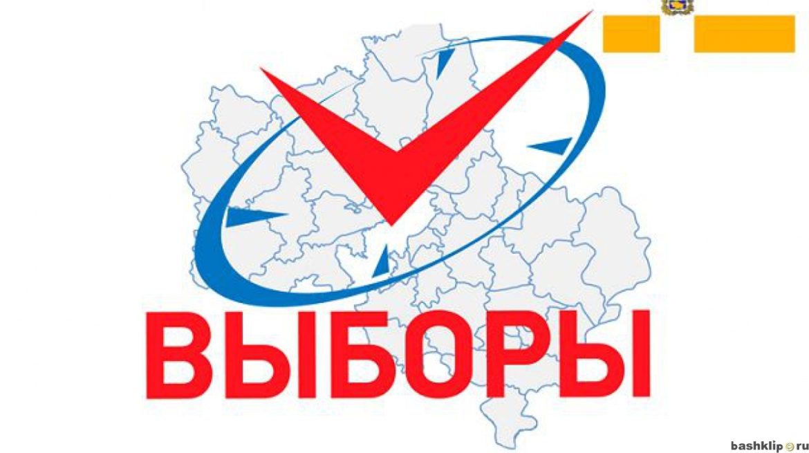 Выборы — 2025