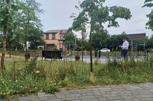 За несвоевременный покос сорняков — штраф
