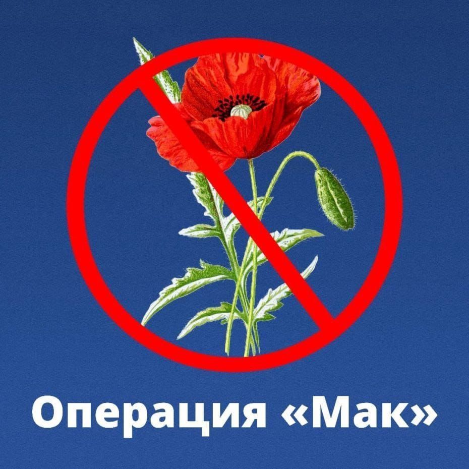 Операция «Мак — 2025»