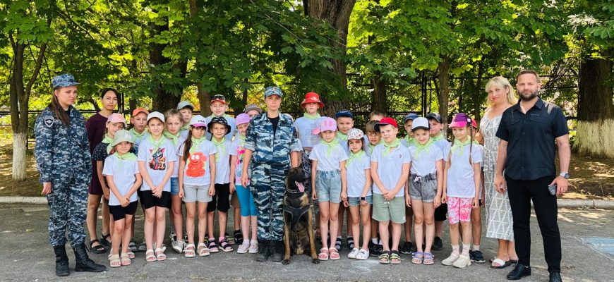 кинологи