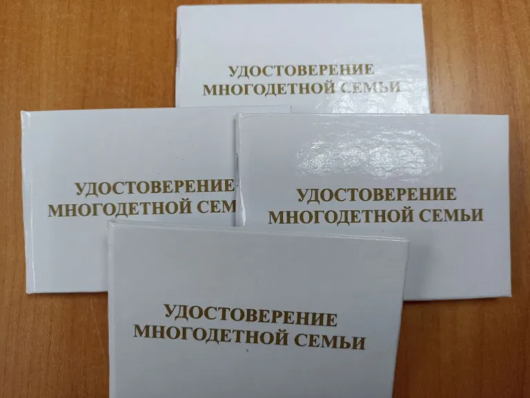 В Волгодонском районе выдано 100 удостоверений многодетной семьи