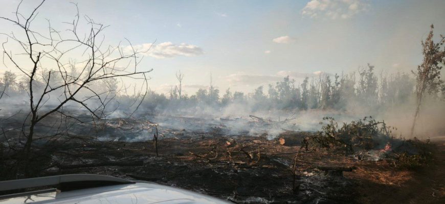 пожар