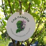 сад памяти