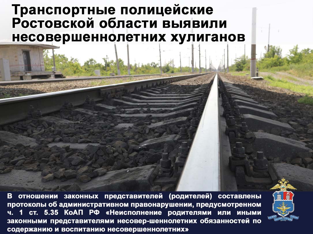 Транспортные полицейские Ростовской области выявили несовершеннолетних хулиганов