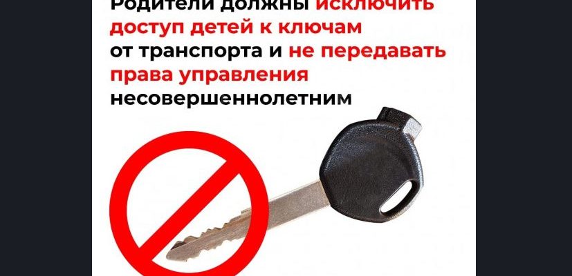 плакат