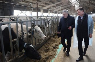 животноводство