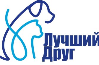 лучший друг