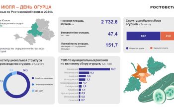 день огурца